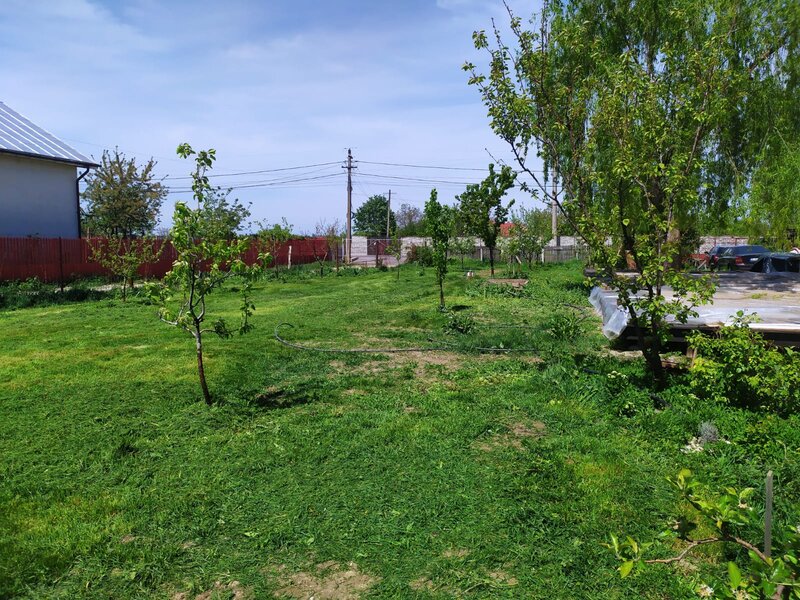 Caut asociat activ pentru dezvoltare punct gastronomic si evenimente